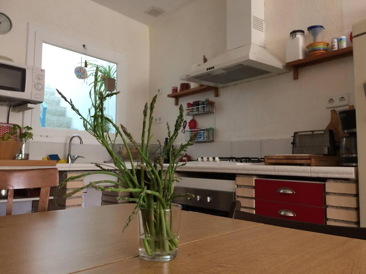 Casa Taller Penelles Penellas Ngoại thất bức ảnh
